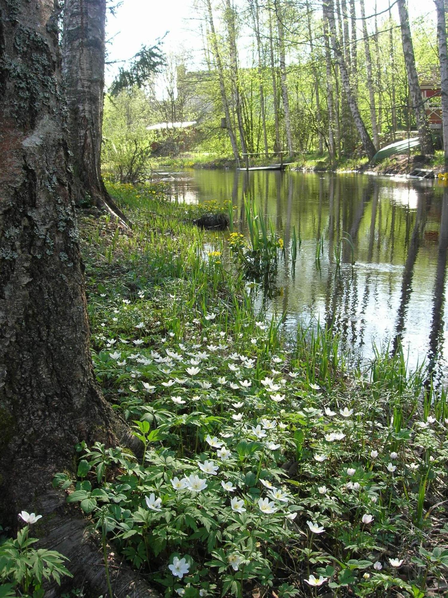 Portaan Nahkurinverstas Porras Экстерьер фото